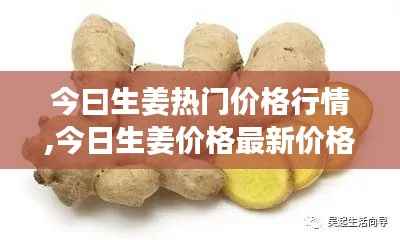 今曰生姜热门价格行情,今日生姜价格最新价格2021
