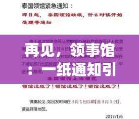 再见，领事馆：一纸通知引发的全球震动