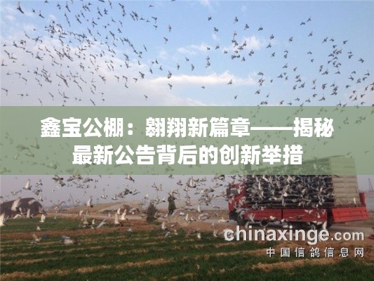 鑫宝公棚：翱翔新篇章——揭秘最新公告背后的创新举措