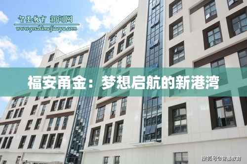 福安甬金：梦想启航的新港湾
