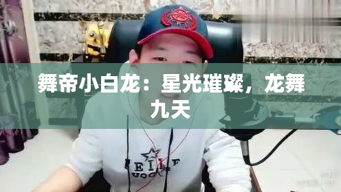 舞帝小白龙:星光璀璨,龙舞九天