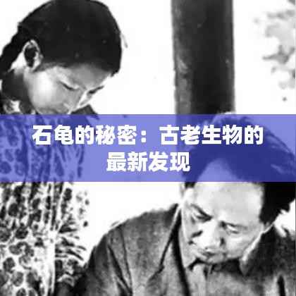 石龟的秘密：古老生物的最新发现