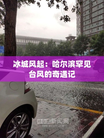 冰城风起：哈尔滨罕见台风的奇遇记