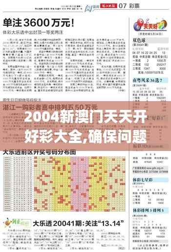 2004新澳门天天开好彩大全,确保问题解析_开发版18.110