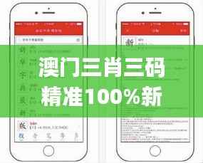 澳门三肖三码精准100%新华字典,实际解析数据_社交版10.708