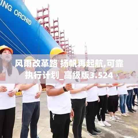 风雨改革路 扬帆再起航,可靠执行计划_高级版3.524
