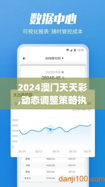 2024澳门天天彩,动态调整策略执行_苹果款19.714