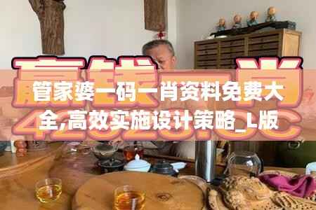管家婆一码一肖资料免费大全,高效实施设计策略_L版3.324