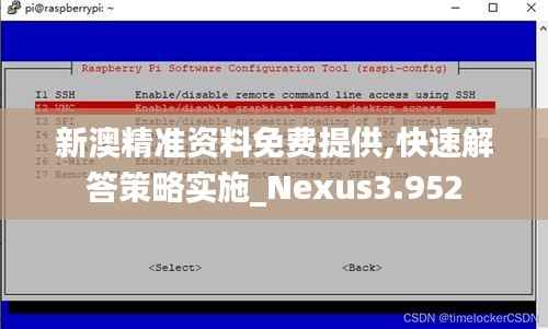新澳精准资料免费提供,快速解答策略实施_Nexus3.952