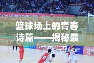 篮球场上的青春诗篇——揭秘最新篮球小说的魅力