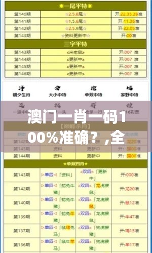 澳门一肖一码100%准确？,全面数据策略解析_DX版13.751