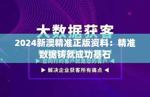 2024新澳精准正版资料：精准数据铸就成功基石