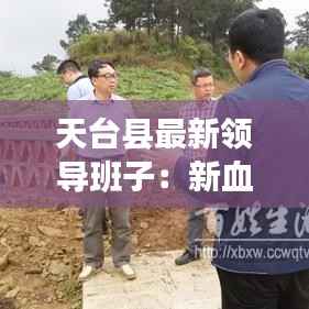 天台县最新领导班子:新血液注入,共谋发展新篇章