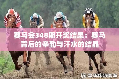 赛马会348期开奖结果：赛马背后的辛勤与汗水的结晶