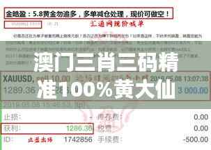 澳门三肖三码精准100%黄大仙348期：百分比背后的赌局