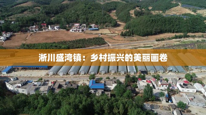 淅川盛湾镇：乡村振兴的美丽画卷