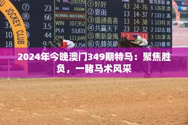 2024年今晚澳门349期特马：聚焦胜负，一睹马术风采