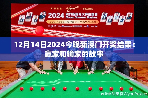 12月14日2024今晚新澳门开奖结果：赢家和输家的故事