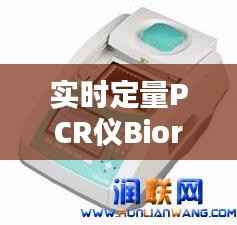实时定量PCR仪Biorad:精准科研的得力助手