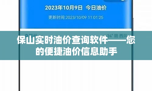 保山实时油价查询软件——您的便捷油价信息助手