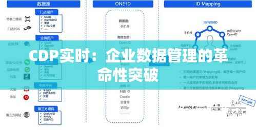 CDP实时:企业数据管理的革命性突破