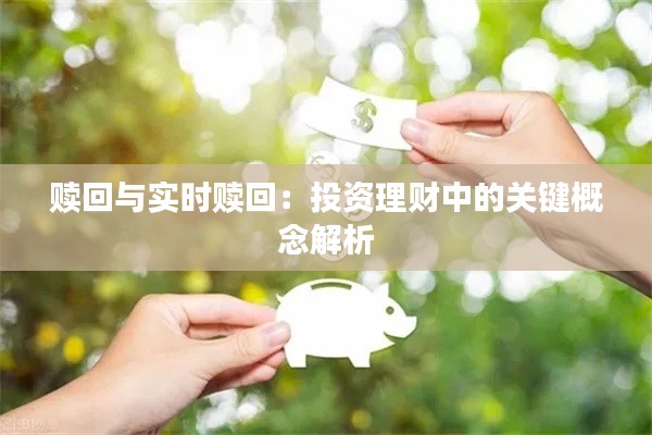 赎回与实时赎回：投资理财中的关键概念解析
