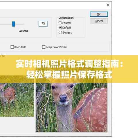 实时相机照片格式调整指南：轻松掌握照片保存格式