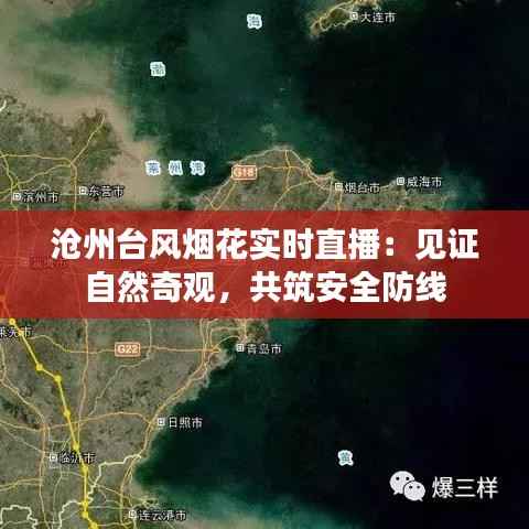 沧州台风烟花实时直播:见证自然奇观,共筑安全防线