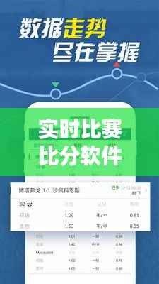 实时比赛比分软件:体育爱好者的得力助手
