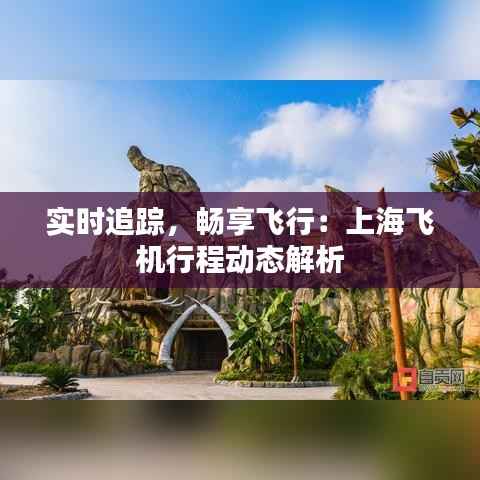 实时追踪，畅享飞行：上海飞机行程动态解析