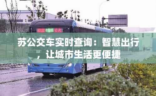 苏公交车实时查询:智慧出行,让城市生活更便捷