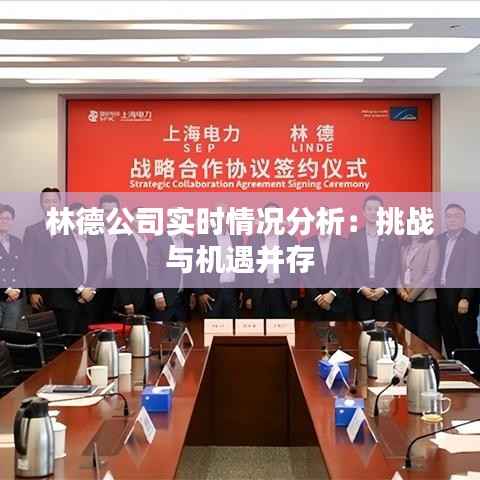 林德公司实时情况分析：挑战与机遇并存