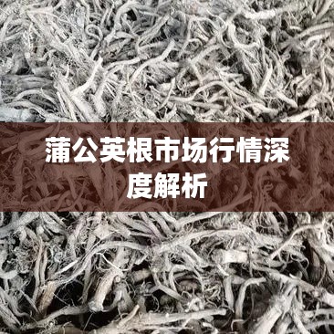 降尊纡贵 第3页