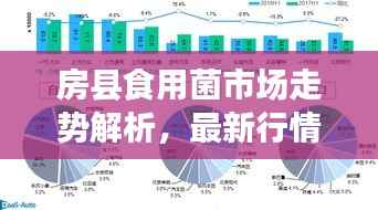 房县食用菌市场走势解析，最新行情报告来袭！