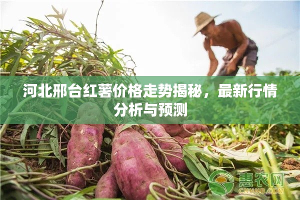 美如冠玉 第3页