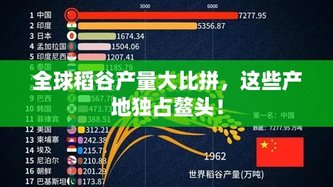全球稻谷产量大比拼,这些产地独占鳌头!