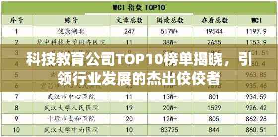 科技教育公司TOP10榜单揭晓，引领行业发展的杰出佼佼者