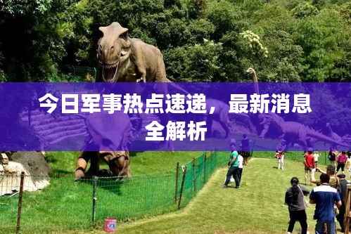 今日军事热点速递,最新消息全解析