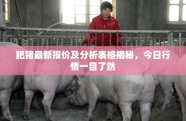 肥猪最新报价及分析表格揭秘,今日行情一目了然