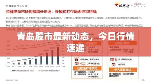 青岛股市最新动态,今日行情速递