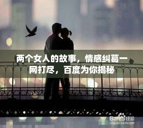两个女人的故事,情感纠葛一网打尽,百度为你揭秘