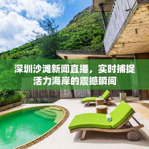 百鸟齐鸣