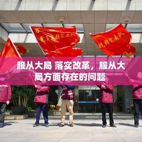 服从大局 落实改革,服从大局方面存在的问题