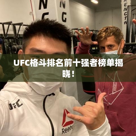 UFC格斗排名前十强者榜单揭晓！