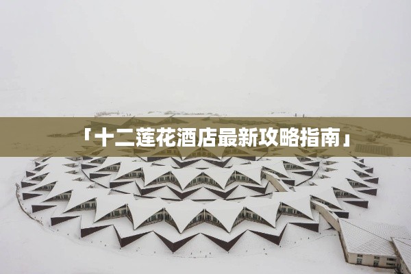 「十二莲花酒店最新攻略指南」