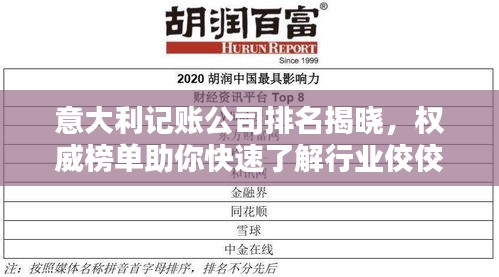意大利记账公司排名揭晓,权威榜单助你快速了解行业佼佼者