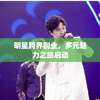 明星跨界副业,多元魅力之旅启动