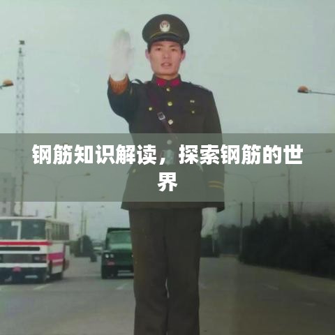 钢筋知识解读，探索钢筋的世界