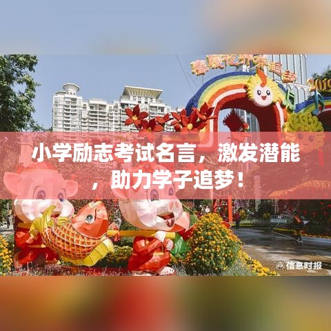 小学励志考试名言,激发潜能,助力学子追梦!