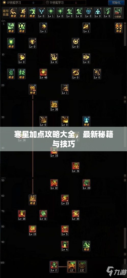 寒星加点攻略大全，最新秘籍与技巧